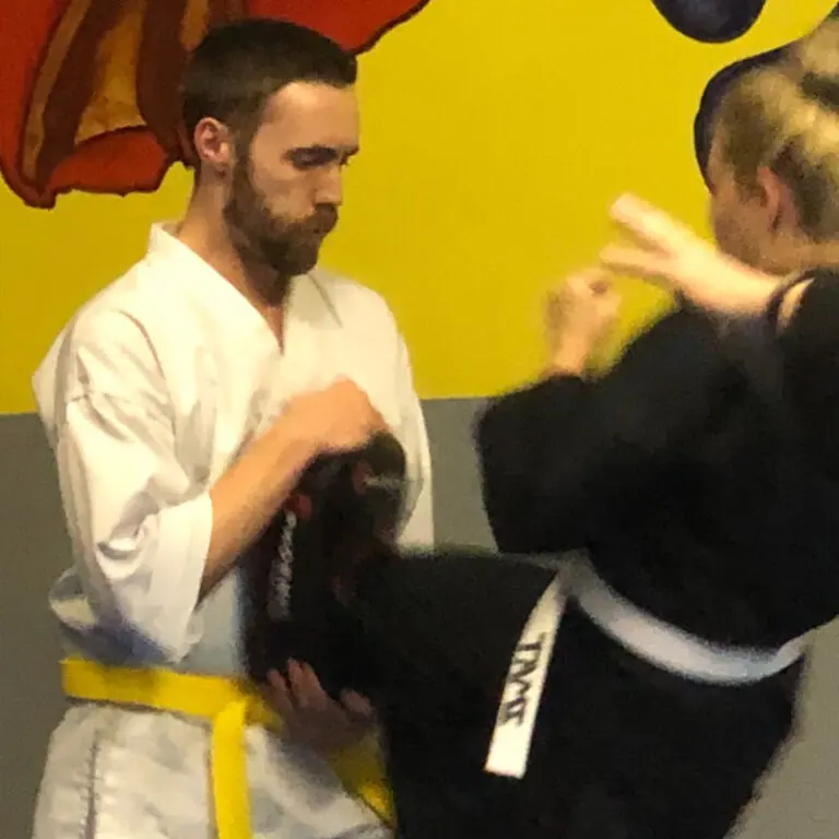 Adult Martial Arts Classes Dragon Brand Martial Arts